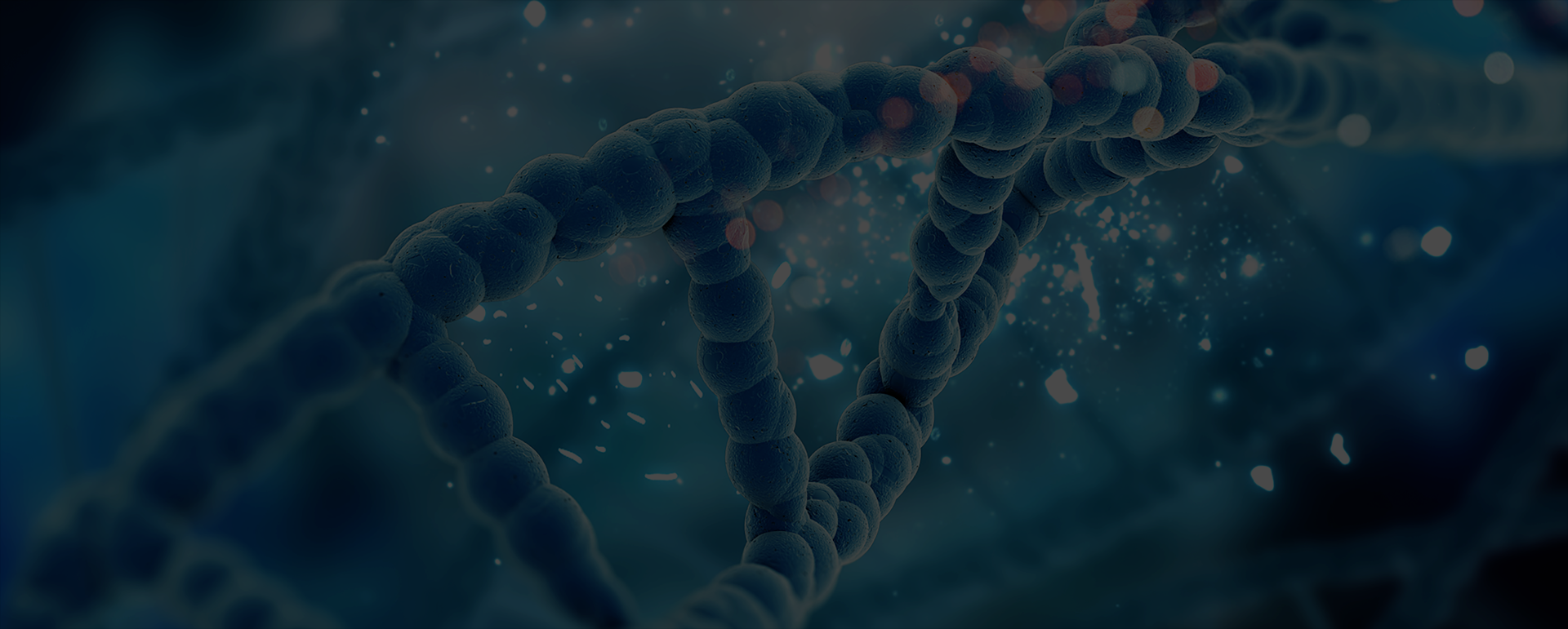 Rosetta,Gromacs分子模拟,分子筛选